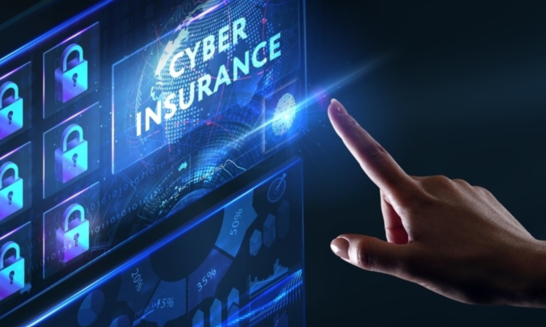 https://boannews.com/media/view.asp?idx=137535